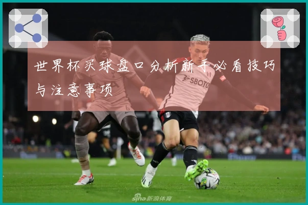 世界杯买球盘口分析新手必看技巧与注意事项