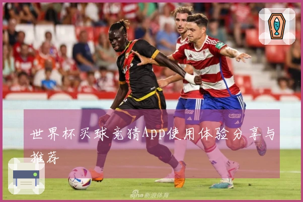 世界杯买球竞猜App使用体验分享与推荐