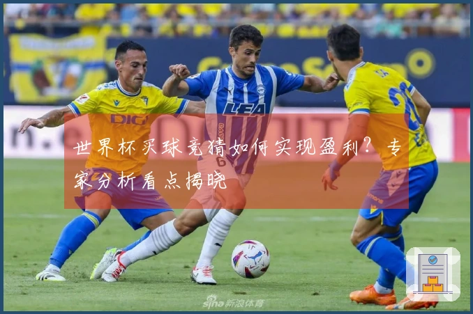 世界杯买球竞猜如何实现盈利？专家分析看点揭晓