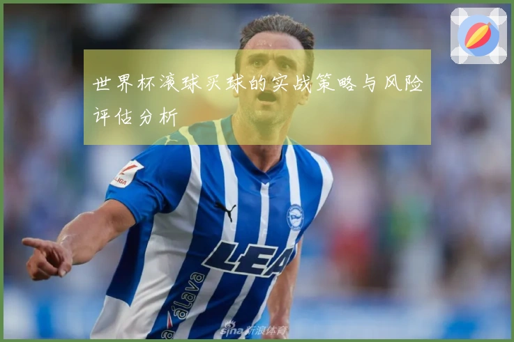 世界杯滚球买球的实战策略与风险评估分析