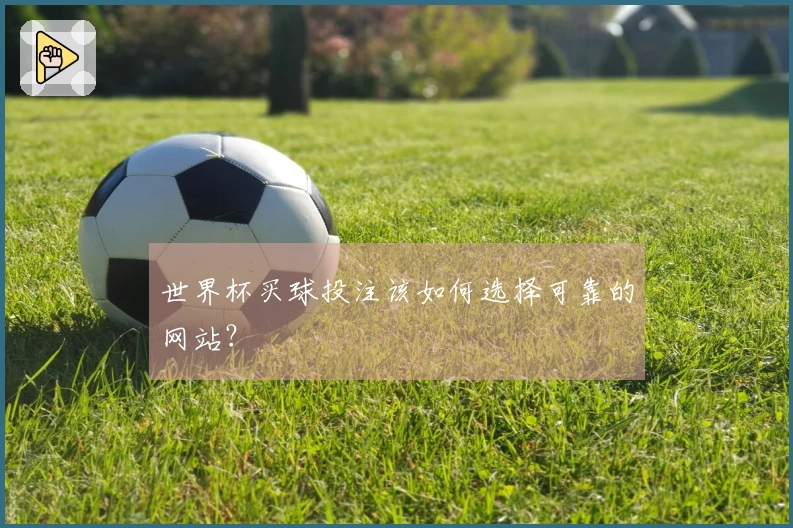 世界杯买球投注该如何选择可靠的网站？