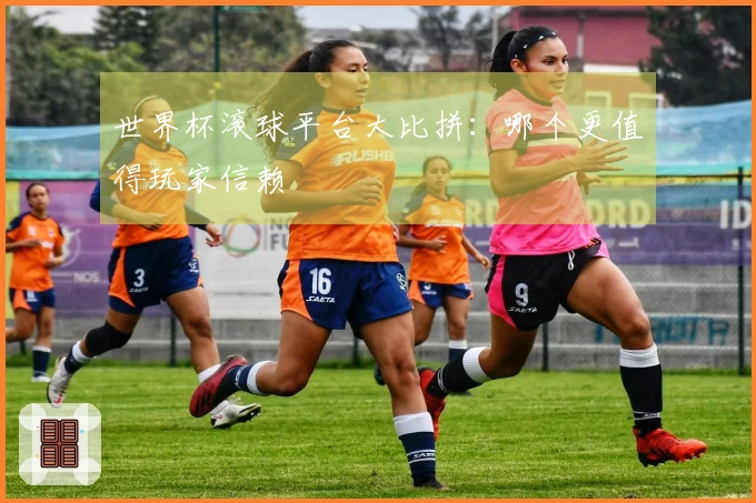 世界杯滚球平台大比拼：哪个更值得玩家信赖