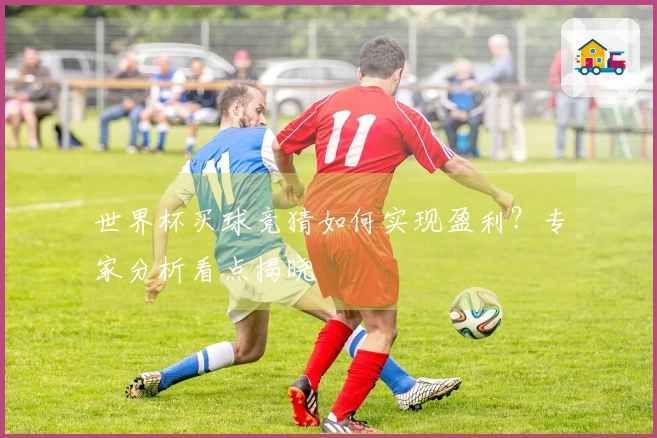 世界杯买球竞猜如何实现盈利？专家分析看点揭晓
